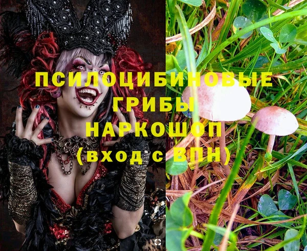 винт Краснослободск