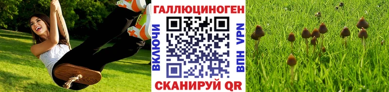 Купить закладки  Саров  Галлюциногенные грибы Psilocybine cubensis 